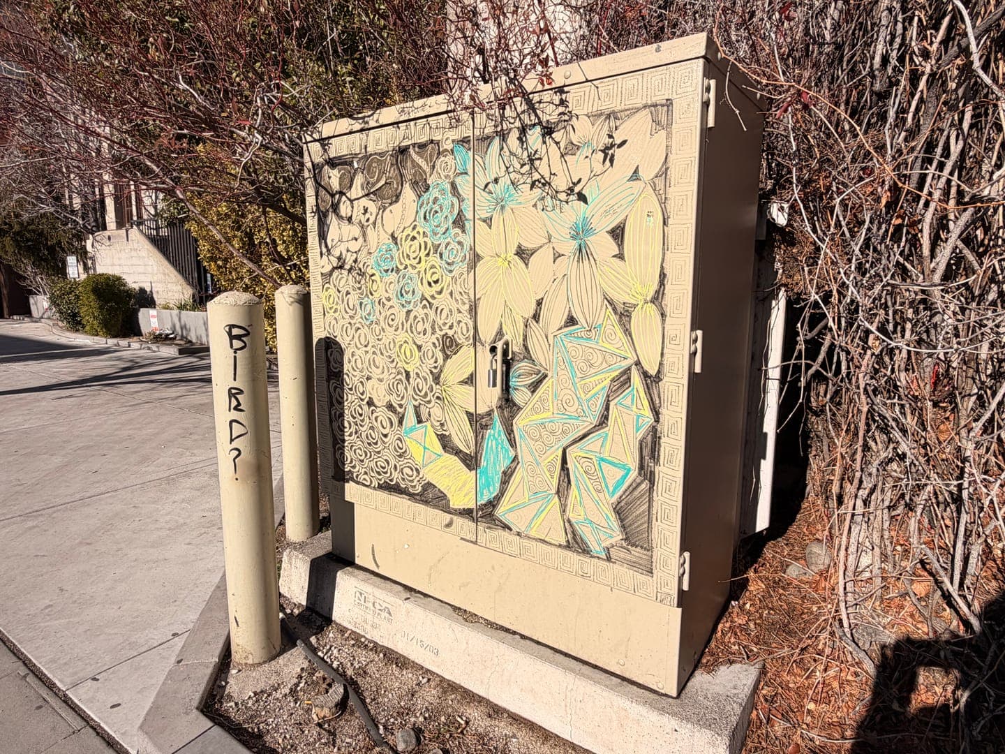 This utility box, adorned with intricate floral and geometric patterns in shades of yellow, blue, and black, brings a touch of unexpected artistry to the urban landscape. Nestled among bare winter branches, it stands beside a sidewalk where a concrete post provocatively asks, 'BIRD?'. The vibrant street art transforms an ordinary object into a captivating visual, inviting passersby to pause and ponder.