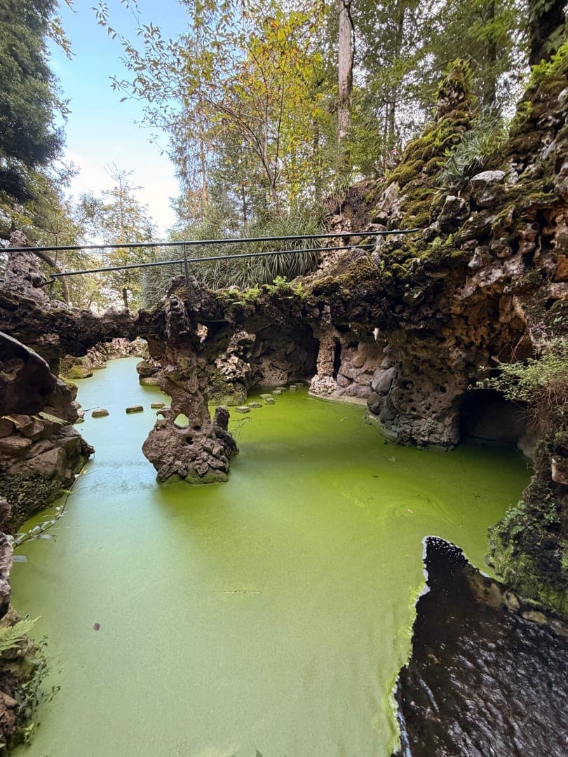 A vibrant green, algae-covered pond winds through a lush, rocky landscape, creating a mystical and slightly eerie atmosphere. Stone formations, some covered in moss, rise from the water and line the banks, with a rustic metal railing forming a bridge overhead. The surrounding trees and natural light filtering through the canopy add to the enchanting, otherworldly feel of this unique natural setting.