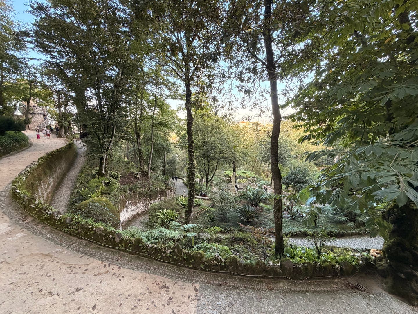 Winding paths lead through a lush, green forest, inviting exploration and peaceful strolls. The dappled sunlight filters through the dense canopy, creating a serene and enchanting atmosphere. This picturesque scene captures the beauty of nature's embrace, with hints of architectural elements in the distance.