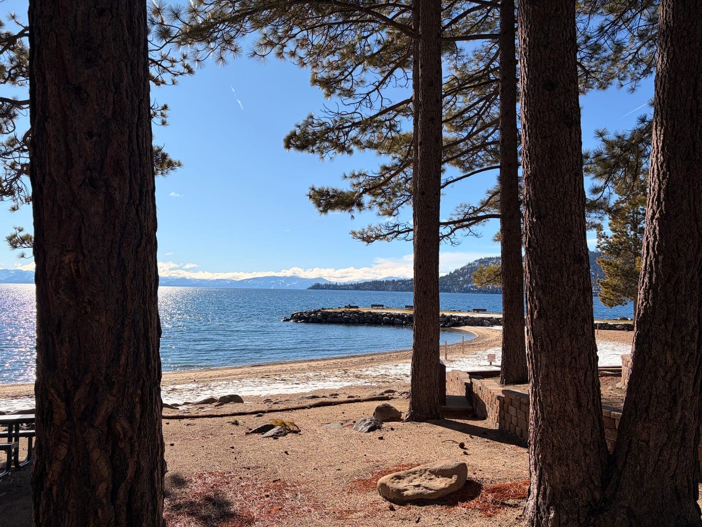 Framed by towering pine trees, a serene lake shimmers under a clear blue sky, reflecting the sunlight. A sandy beach curves gently along the shore, leading to a small pier dotted with benches, while distant snow-capped mountains add to the picturesque landscape. The scene evokes a peaceful and refreshing mood, perfect for a tranquil escape into nature.