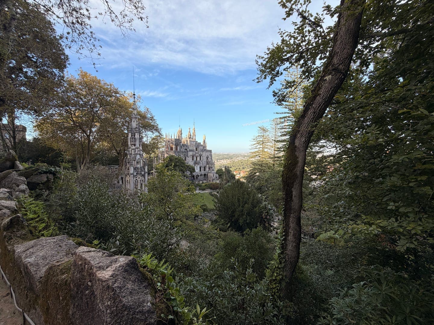 A majestic view of a grand, ornate castle peeking through lush green trees under a bright blue sky. The intricate architecture of the castle, with its spires and detailed stonework, suggests a rich history and a touch of fantasy. This enchanting scene, framed by natural foliage and a stone wall, evokes a sense of wonder and timeless beauty.