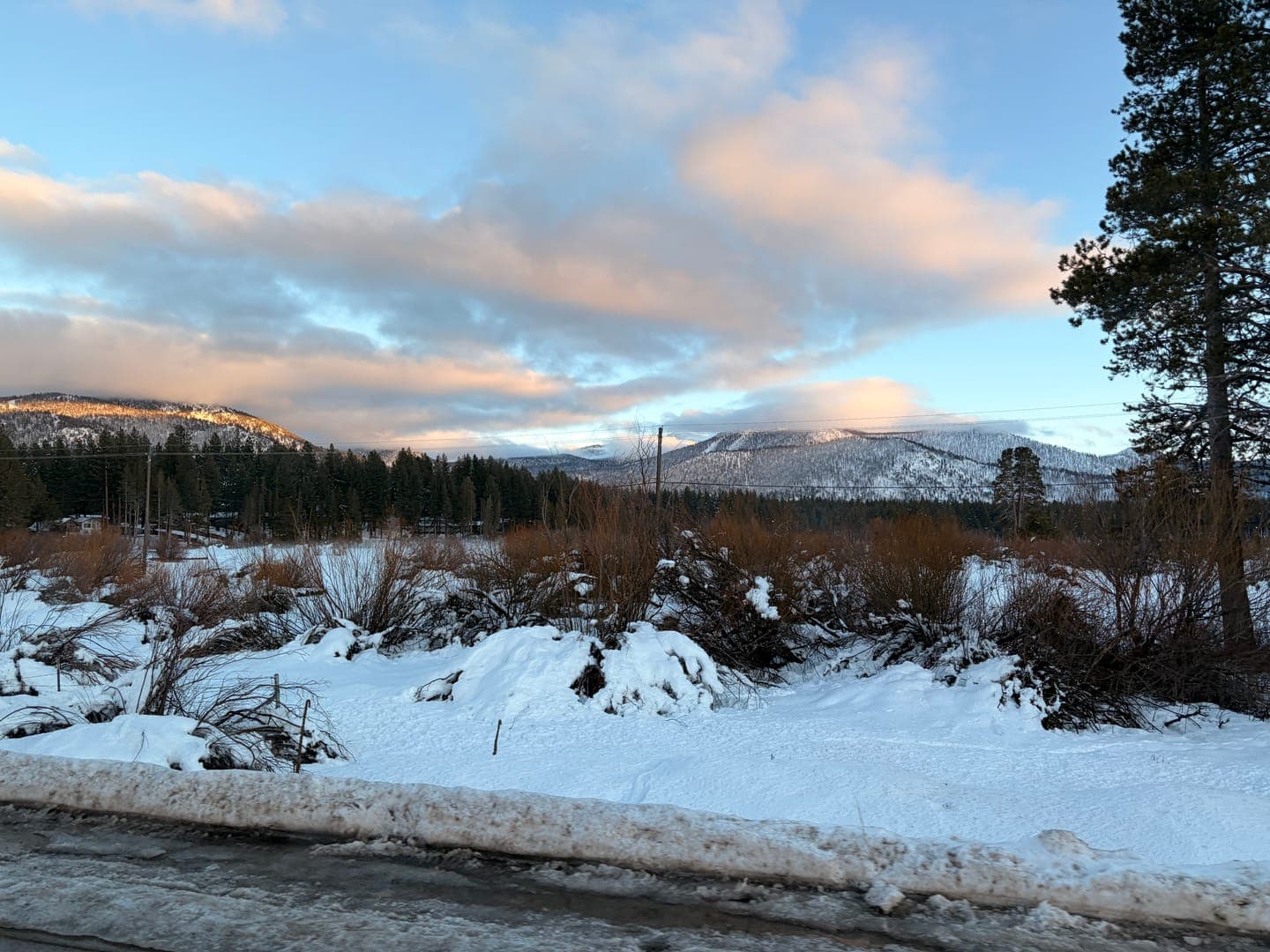 A serene winter landscape unfolds with snow-covered ground and bushes in the foreground, leading to a dense line of evergreen trees. In the distance, majestic mountains rise, their peaks dusted with snow and kissed by the warm glow of the setting or rising sun, creating a beautiful contrast with the cool blue sky and soft, colorful clouds. The overall mood is peaceful and picturesque, capturing the quiet beauty of a snowy day in the mountains.