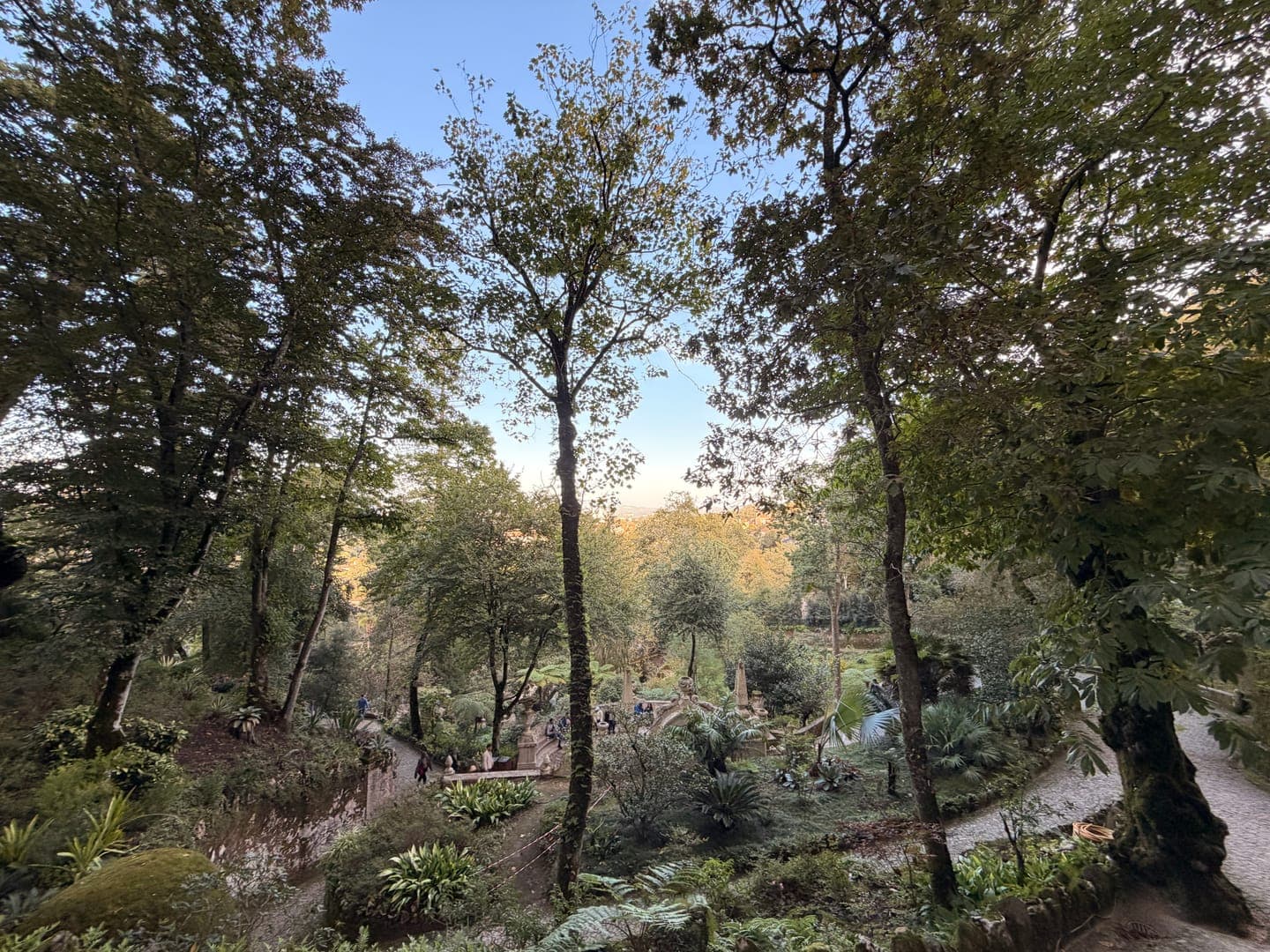 Step into a lush, enchanting forest where towering trees frame a serene landscape. A winding path invites exploration through the verdant undergrowth, hinting at hidden wonders within this natural sanctuary. The soft light filtering through the canopy creates a peaceful and magical atmosphere, perfect for a tranquil escape.