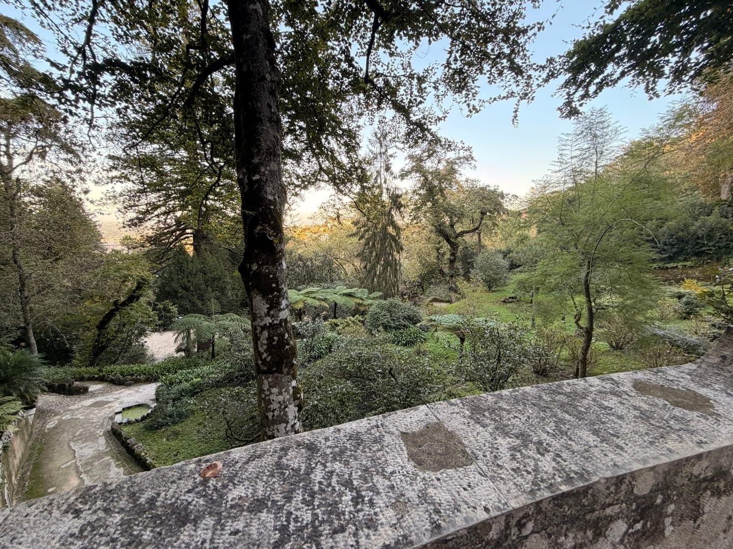 Step into a serene forest landscape, where lush greenery thrives under a soft, diffused light. A sturdy stone wall in the foreground offers a vantage point over a winding path and a tranquil pond, inviting exploration. The overall mood is one of peaceful natural beauty, perfect for a quiet escape.
