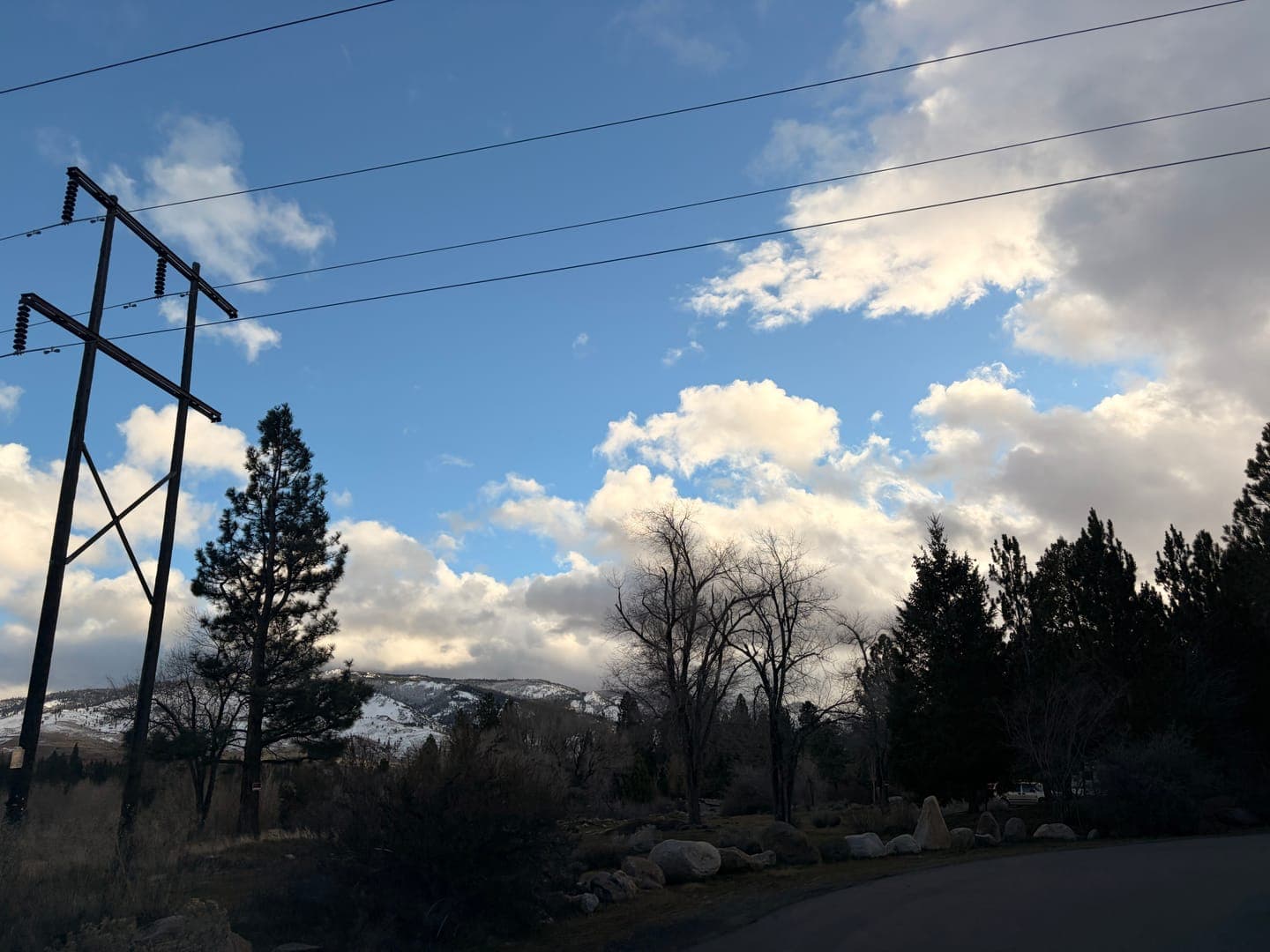 A striking view of a power line and tall pine trees against a dramatic sky filled with white and gray clouds. In the distance, snow-capped mountains peek through, adding a serene backdrop to the rugged landscape. The scene captures a blend of natural beauty and human infrastructure, with a hint of a road curving into the foreground.