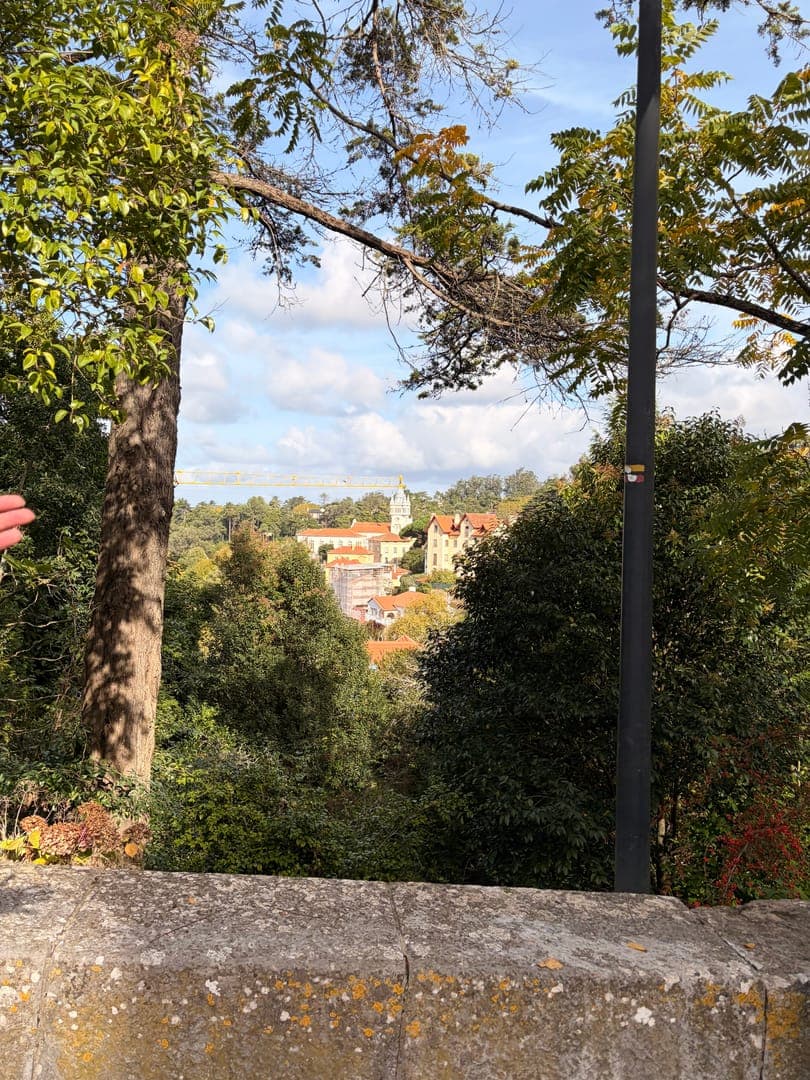 A picturesque view from above reveals a charming town nestled amongst lush green trees under a bright, cloudy sky. In the distance, buildings with red-tiled roofs and a prominent church spire peek through the foliage, hinting at a rich history. The foreground features a weathered stone wall, adding a rustic touch to this serene landscape.
