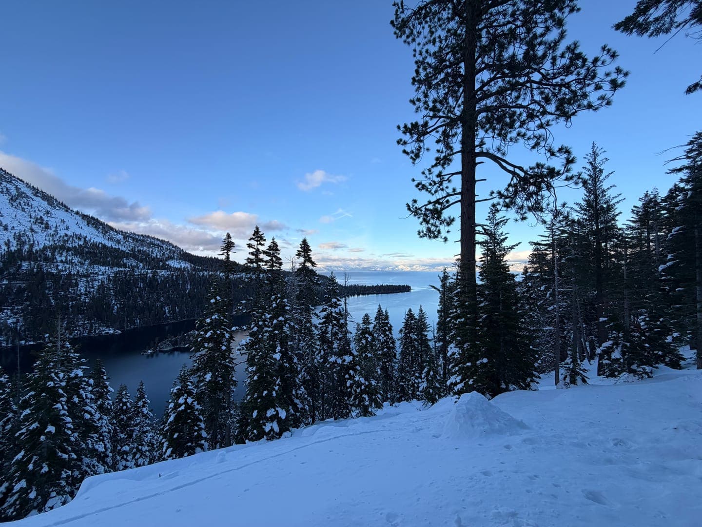 A serene winter wonderland unfolds with snow-covered pine trees framing a tranquil lake, reflecting the soft blue hues of the sky. The distant mountains, also blanketed in white, add to the majestic beauty of this peaceful landscape. It's a breathtaking view that perfectly captures the quiet grandeur of a snowy day by the water.