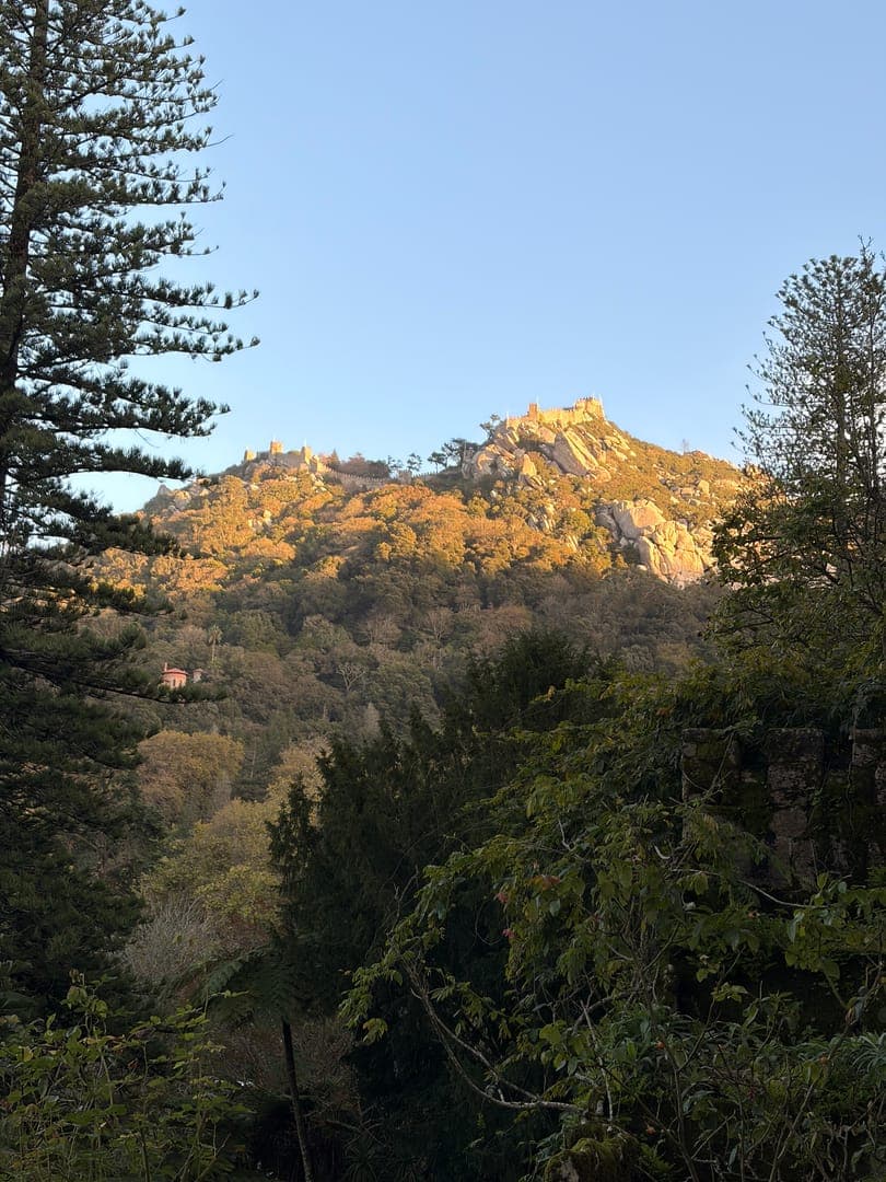 Golden hour paints the ancient walls of the Castle of the Moors, perched majestically atop a sun-kissed hill in Sintra, Portugal. Lush green trees frame this breathtaking view, with a hint of a distant red-roofed house nestled among the dense foliage. The scene evokes a sense of timeless beauty and serene grandeur, inviting viewers to imagine stories within its historic landscape.