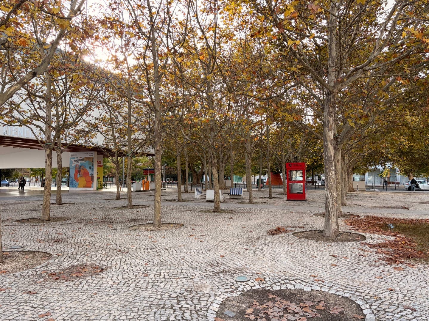 Autumn's embrace paints this charming plaza with warm hues, as golden leaves cling to the branches of numerous trees. The cobblestone ground, dotted with fallen foliage, leads the eye towards a vibrant red telephone booth, adding a pop of color to the serene scene. In the background, a building with a large, colorful mural featuring the word 'AS' hints at a lively cultural space, inviting exploration.