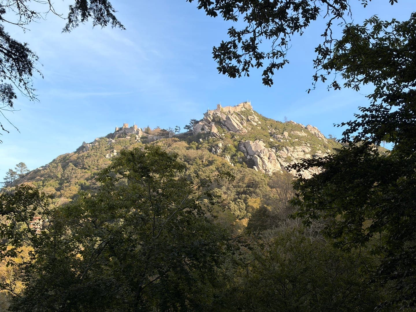 Perched atop a rugged, tree-covered mountain, the ancient walls of a castle stand majestically against a clear blue sky. Framed by the dark silhouettes of foreground trees, the scene evokes a sense of timeless grandeur and natural beauty. This captivating view invites exploration and wonder, hinting at stories held within its historic stones.